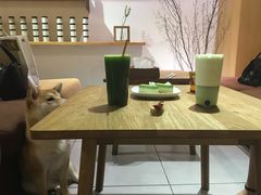 -柴务处·柴犬主题狗咖