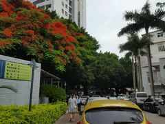 大门口-深圳市人民医院(留医部)