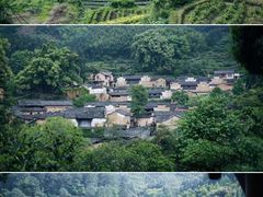-杨家堂村