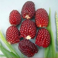 -Oasis Beauty水磨坊科技美肤中心