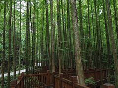 -山王坪喀斯特国家生态公园