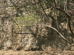 -香山公园