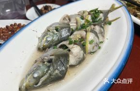 Boiled Barracuda in Plain Water