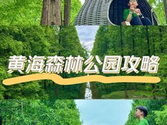 -黄海国家森林公园