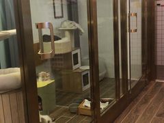 -猫大福·Fortune Cat猫舍(百子湾店)