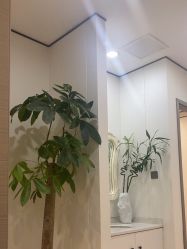 -郑荃丽格医疗美容
