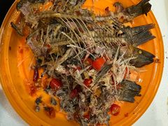 -龚海宝· 烧烤· 羊肉原切挂糊更好吃(庄市店)