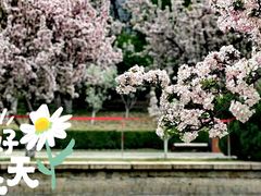 -海棠花溪(元大都城垣遗址公园)