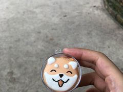 -柴犬高等学院·狗咖·柴犬售卖·宠物训练