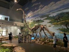 -自贡恐龙博物馆