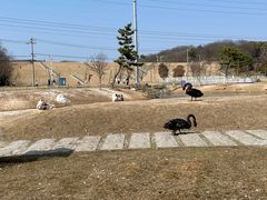 -佛手湖郊野公园