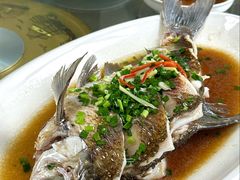 -小本鸡饭店(滨江白马湖店)
