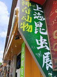 点击看大图 -神奇动物撸宠馆·羊驼·小浣熊·异宠(豫园店)
