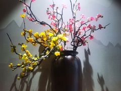 -野菌皇海景野生菌火锅(滨海大道店)