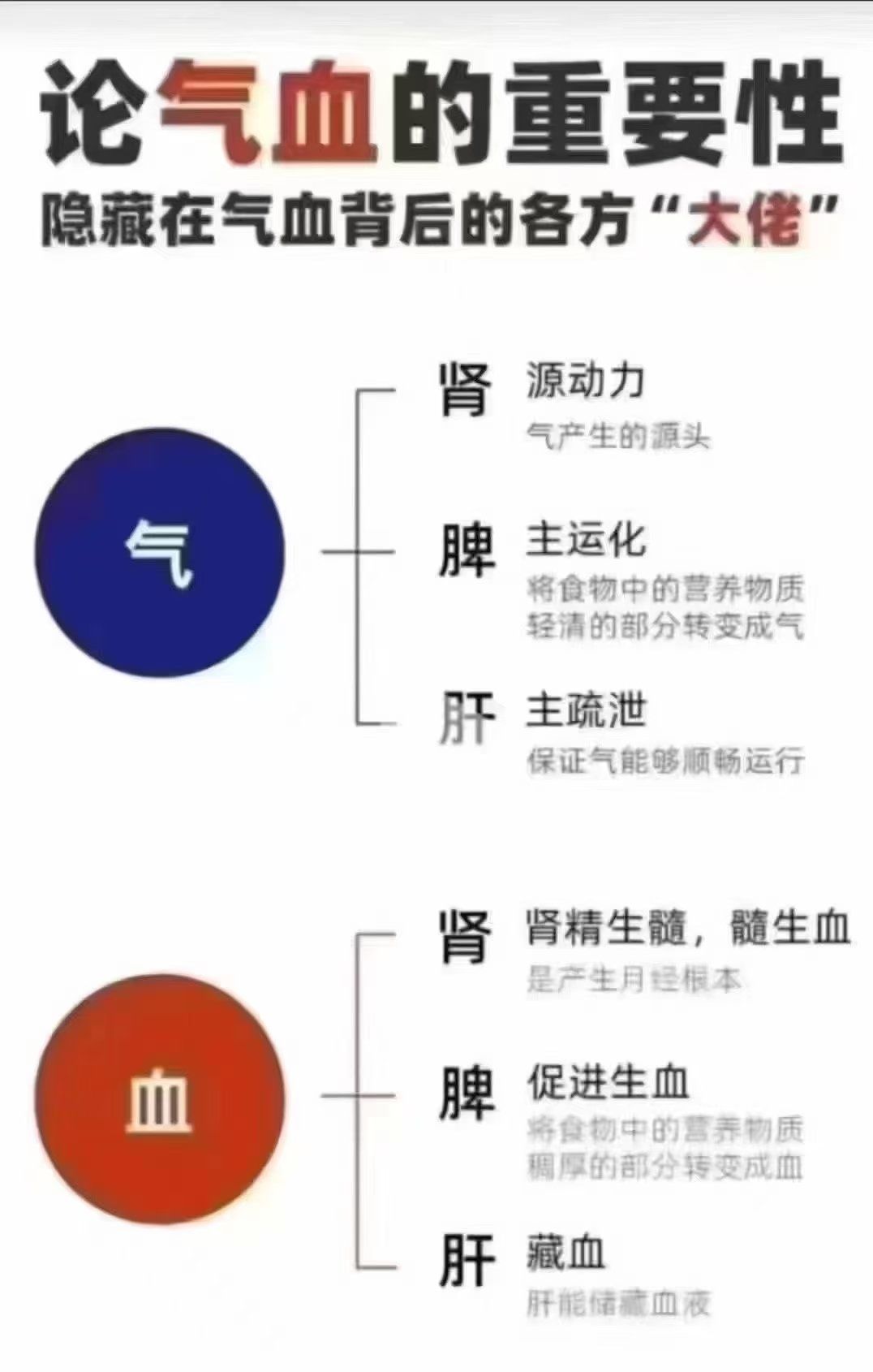 心肝脾肺肾与气血的关系