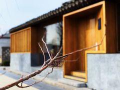 -春风习习