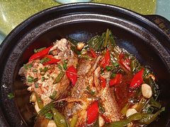 -金山记靓鸡专门店·中山菜