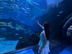 -海合安成都极地海洋公园