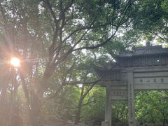 -灵岩山风景区