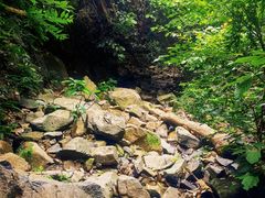 -东明山森林公园