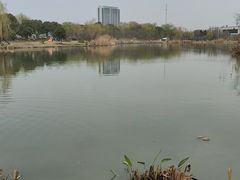 -九里河湿地公园