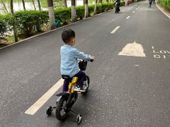 -长白岛森林公园