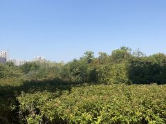 -郑州植物园