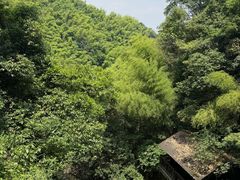 -莫干山风景区