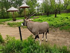 -大连森林动物园