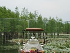 -白鹭湾湿地公园