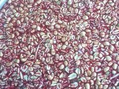 -哈尼梯田美食土菜馆