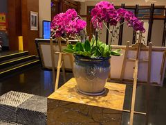 -黔蘑菇四季餐厅(观山湖店)