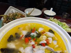 -邵年鸽(杨庄店)