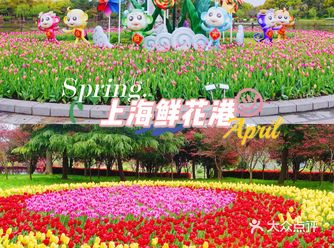 上海鲜花港，有“形状”的郁金香花海