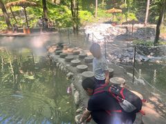 -牛背梁国家森林公园
