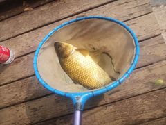 -酷鱼垂钓CLUB(朝阳区博大路店 )