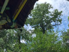 -南岳衡山风景名胜区-南岳大庙