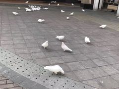 -王府井奥莱临潼小镇(临潼店)