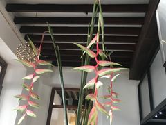 -Ministry of Crab(科伦坡店)