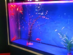 -蜀锦堂·川味现炒(襄阳武商汇店)