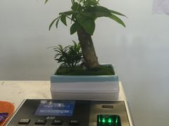 -中田健身工作室(珠江路地铁站店)