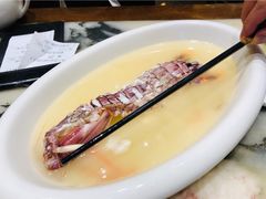 泰國瀨尿蝦-海王老记