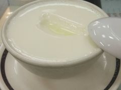 双皮奶-义顺牛奶公司(新马路老店)