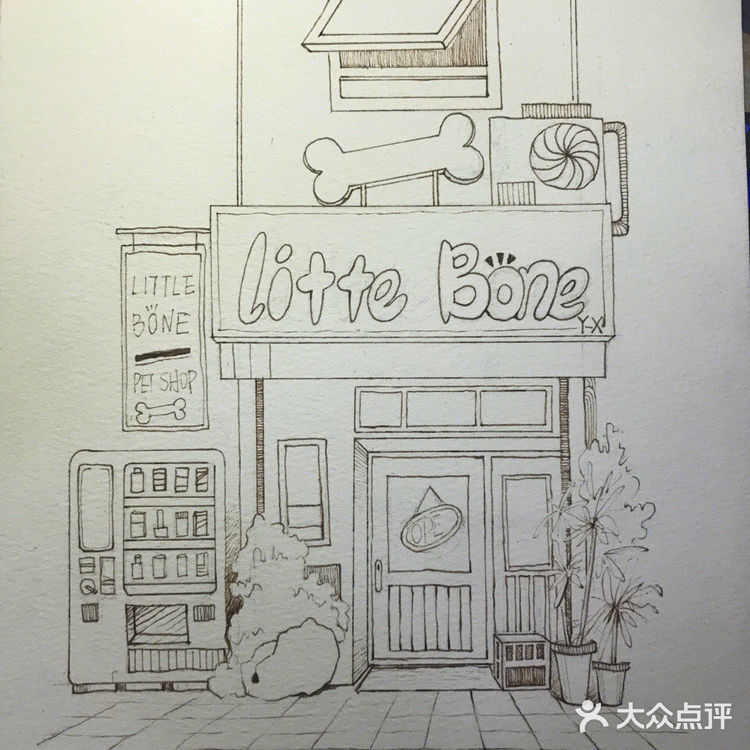 让愿望住进画册，我们的“圆梦”时刻到啦🥳