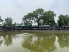 -尚庄度假村·庭台树下·户外烧烤·团建CS·轰趴营地(上庄水库店)