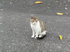 -哈尔滨北方森林动物园