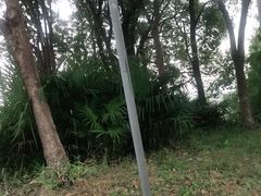 -安飞驰驾校·学车连锁(金高店)