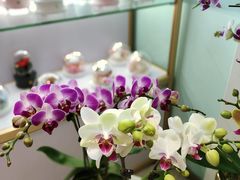 -EPOQUE·一刻花店(兴业太古汇店)