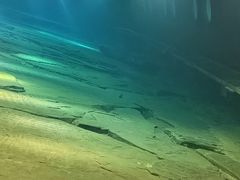 -白鹤梁水下博物馆