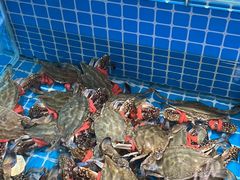 -蓝珊甄选海鲜自助·火锅大排档(近阿那亚店)
